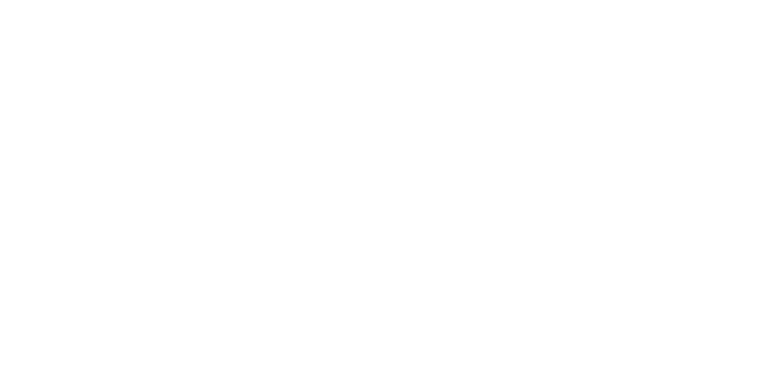 Steudel & Steudel Allianz